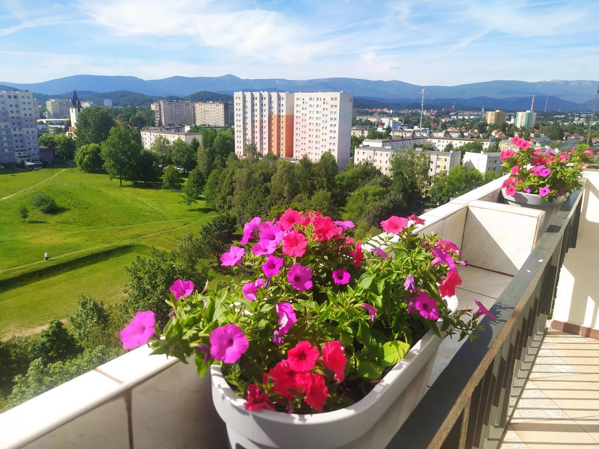 Apartament Z Widokiem Na Sniezke Jelenia Gora Dış mekan fotoğraf